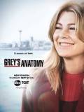 se1810 : ซีรีย์ฝรั่ง Grey's Anatomy Season 15 [ซับไทย] DVD 5 แผ่น