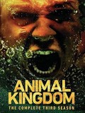 se1832 : ซีรีย์ฝรั่ง Animal Kingdom Season 3 [ซับไทย] DVD 3 แผ่น