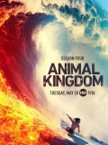 se1833 : ซีรีย์ฝรั่ง Animal Kingdom Season 4 [ซับไทย] DVD 3 แผ่น