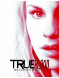 se1898 : ซีรีย์ฝรั่ง True Blood Season 5 [พากย์ไทย] DVD 2 แผ่น