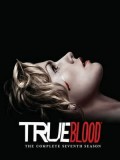 se1900 : ซีรีย์ฝรั่ง True Blood Season 7 [พากย์ไทย] DVD 2 แผ่น