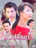 st0145 : ละครไทย บัวปริ่มน้ำ 2549 DVD 1 แผ่น