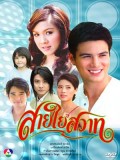 st0198 : ละครไทย สายใยสวาท DVD 4 แผ่น