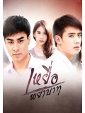 st1432 : เหยื่อพยาบาท DVD 5 แผ่น