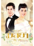 st1459 : มัสยา 2560 DVD 5 แผ่น