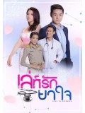 st1495 : เล่ห์รักยาใจ DVD 5 แผ่น