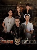 st1519 : มือปราบเหยี่ยวดำ DVD 4 แผ่น