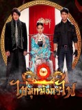 st1529 : ไข่มุกมังกรไฟ DVD 5 แผ่น