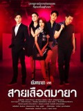 st1557 : เมืองมายา LIVE ตอน สายเลือดมายา DVD 1 แผ่น