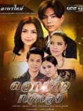 st1558 : ดอกแก้วกาหลง DVD 3 แผ่น