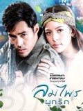 st1560 : ลมไพรผูกรัก (My Hero วีรบุรุษสุดที่รัก) DVD 2 แผ่น