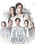 st1568 : ข้ามสีทันดร 2561 DVD 5 แผ่น