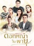st1569 : ละครไทย ดอกหญ้าในพายุ DVD 4 แผ่น