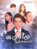 st1600 : ละครไทย ดวงใจในไฟหนาว DVD 4 แผ่น
