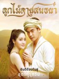 st1604 : ละครไทย ลูกไม้ลายสนธยา DVD 4 แผ่น