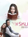 st1608 : ละครไทย ดั่งพรหมลิขิตรัก DVD 3 แผ่น
