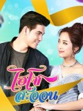 st1650 : ละครไทย ไฮโซสะออน DVD 5 แผ่น