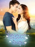 st1667 : ละครไทย ในคืนหนาว แสงดาวยังอุ่น DVD 4 แผ่น