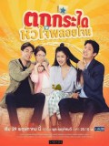 st1752 : ละครไทย ตกกระไดหัวใจพลอยโจน 2562 DVD 5 แผ่น