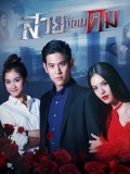 st1754 : ละครไทย สวยซ่อนคม DVD 5 แผ่น