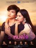 st1801 : รักหมดใจ Endless Love DVD 3 แผ่น