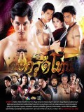 st1802 : ตะกรุดโทน DVD 6 แผ่น