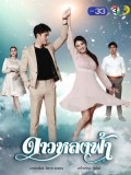 St1809 : ดาวหลงฟ้า DVD 5 แผ่น