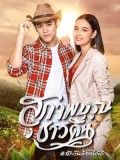 St1827 : สุภาพบุรุษชาวดิน DVD 5 แผ่น