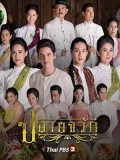 St1839 : ปลายจวัก DVD 5 แผ่น