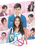 St1843 : ฟ้าฝากรัก DVD 5 แผ่น