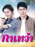 St1847 : กาเหว่า DVD 6 แผ่น