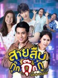 St1851 : สายสืบกุ๊กกุ๊ก DVD 4 แผ่น