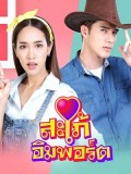 St1854 : สะใภ้อิมพอร์ต DVD 6 แผ่น