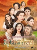 St1855 : ทุ่งเสน่หา DVD 5 แผ่น