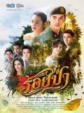 St1865 : ร้อยป่า DVD 6 แผ่น