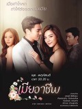 St1893 : เมียอาชีพ DVD 5 แผ่น