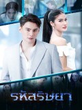 St1931 : รหัสริษยา DVD 5 แผ่น