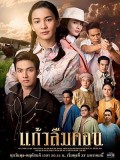 St1939 : แก้วลืมคอน DVD 4 แผ่น