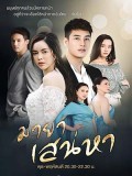 St1953 : มายาเสน่หา DVD 4 แผ่น