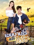 st2038 : ละครไทย เขยบ้านไร่ สะใภ้ไฮโซ DVD 5 แผ่น