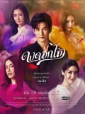 st2112 : ละครไทย ดงดอกไม้ DVD 4 แผ่น