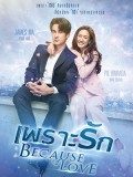 st2127 : ละครไทย เพราะรัก Because of Love DVD 5 แผ่น