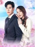 st2129 : ละครไทย หงส์ในกรงกา DVD 6 แผ่น