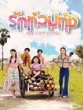 st2180 : ละครไทย รักท่วมทุ่ง DVD 4 แผ่น