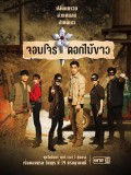 st2295 : ละครไทย จอมโจรดอกไม้ขาว DVD 6 แผ่น