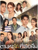 st2329 : ละครไทย ตามหารักที่เธอลืม DVD 4 แผ่น