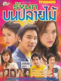 st2358 : ละครไทย รังนกบนปลายไม้ 2549 DVD 4 แผ่น