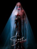 st2372 : ละครไทย ฆ่าฉันในฝันของนาย Sweet Dreams DVD 2 แผ่น
