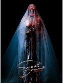 st2372 : ละครไทย ฆ่าฉันในฝันของนาย Sweet Dreams DVD 2 แผ่น