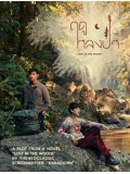 st2385 : ละครไทย ฤดูหลงป่า Lost in the Woods (2025) DVD 2 แผ่น